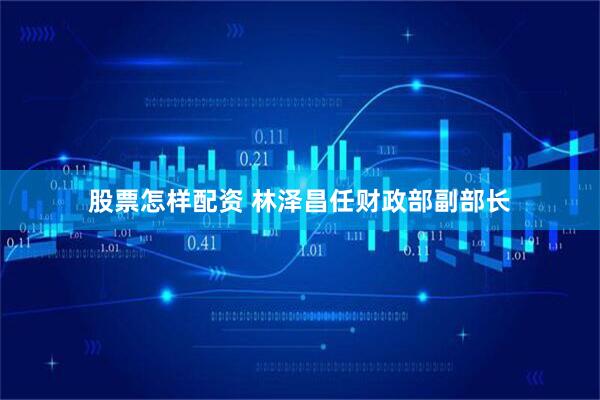 股票怎样配资 林泽昌任财政部副部长