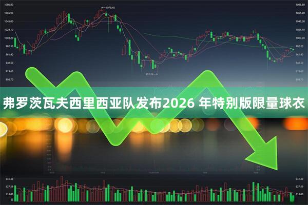 弗罗茨瓦夫西里西亚队发布2026 年特别版限量球衣